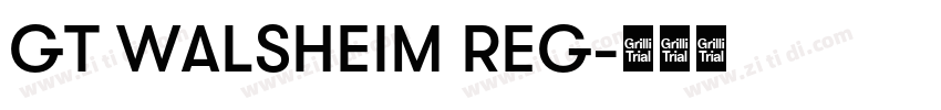 GT WALSHEIM REG字体转换 GT WALSHEIM REG字体转换